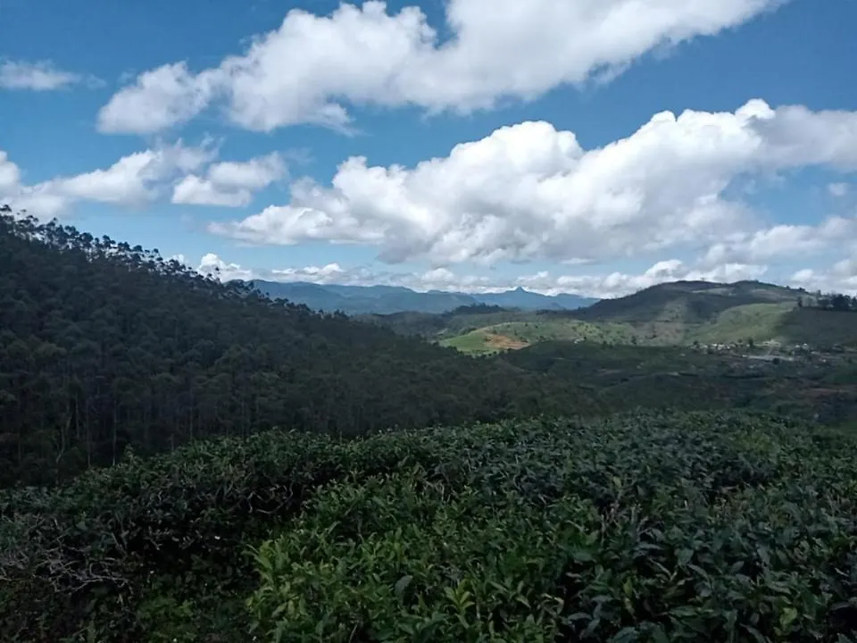 Mountain Misty By Travel Corners Hotel Nuwara Eliya