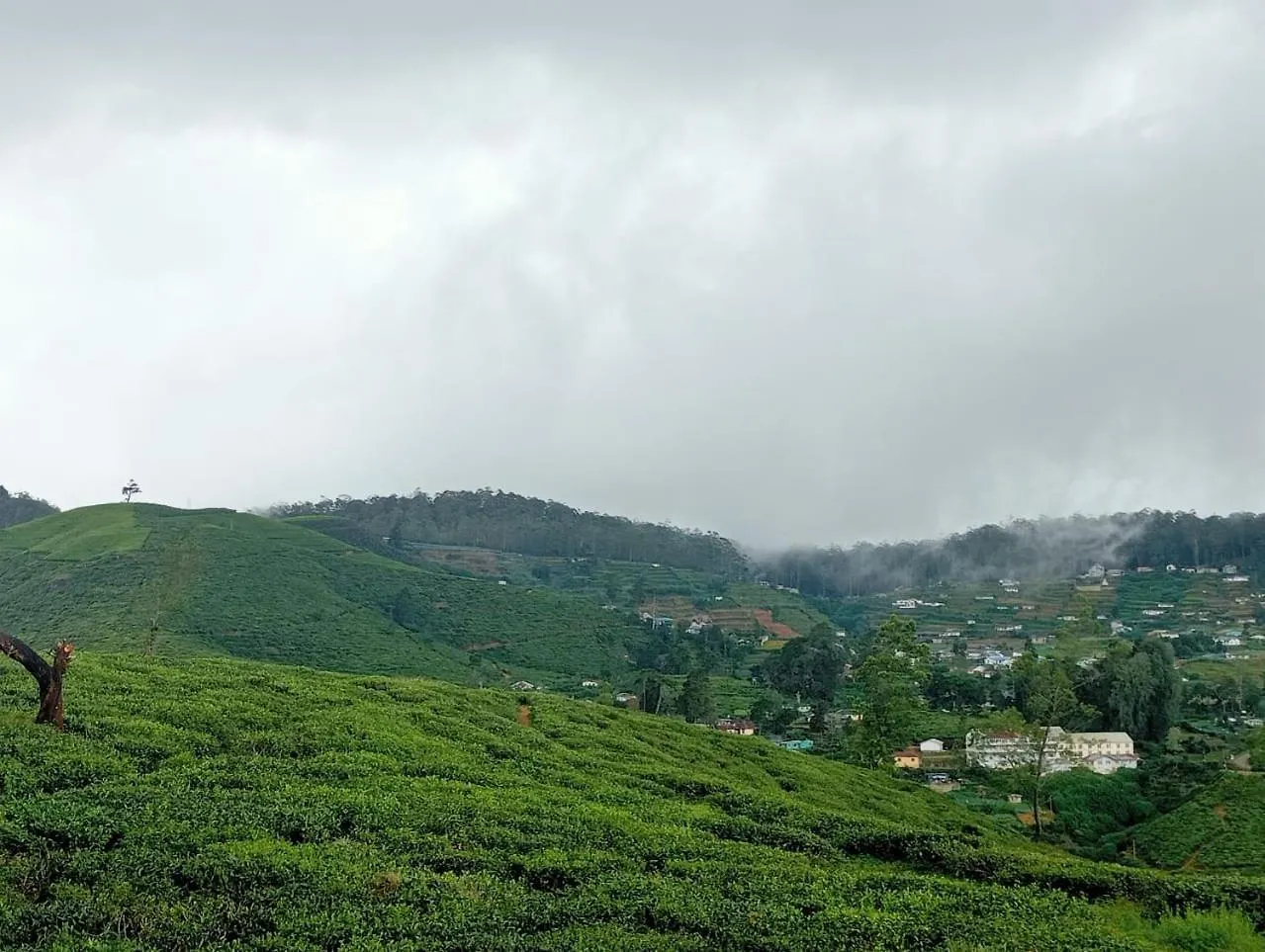 Hotel Mountain Misty By Travel Corners Nuwara Eliya