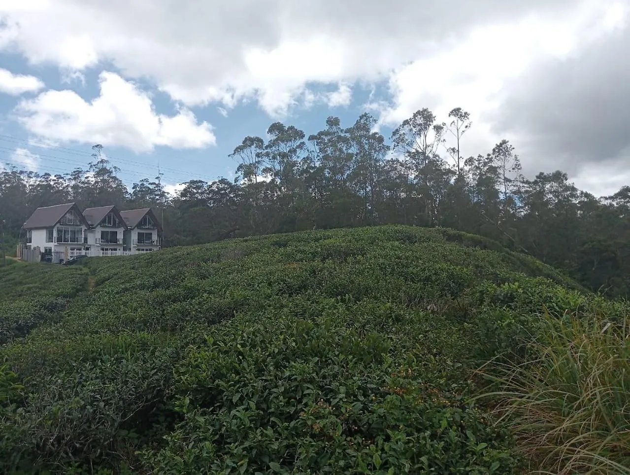 Hotel Mountain Misty By Travel Corners Nuwara Eliya